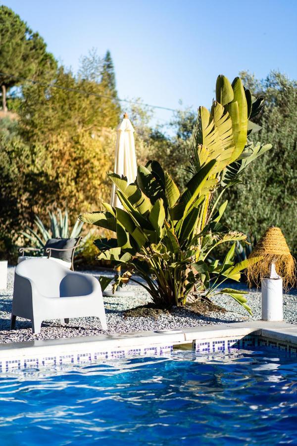 Campo Agave B&B Sayalonga Exterior foto